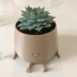 Macetas decorativas modernas y personalizadas para interiores y exteriores